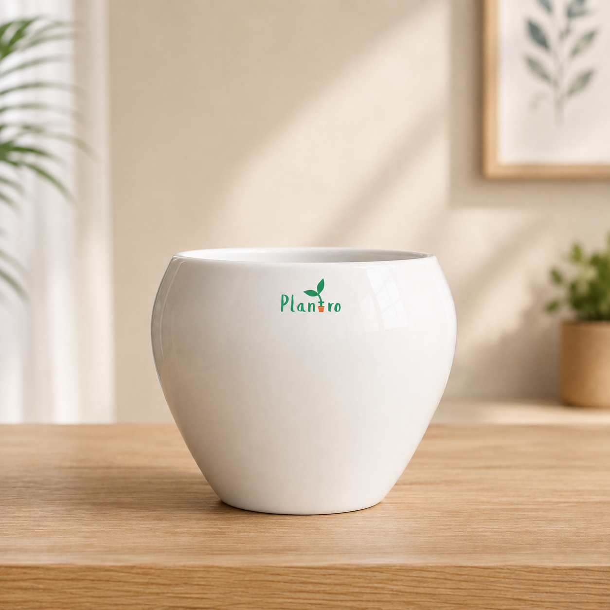 Pots & Planters