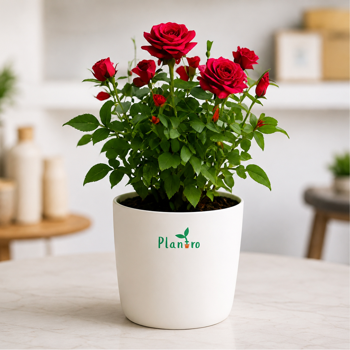 Flowering Plants